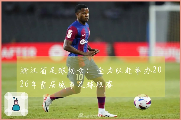 浙江省足球协会：全力以赴举办2026年首届城市足球联赛